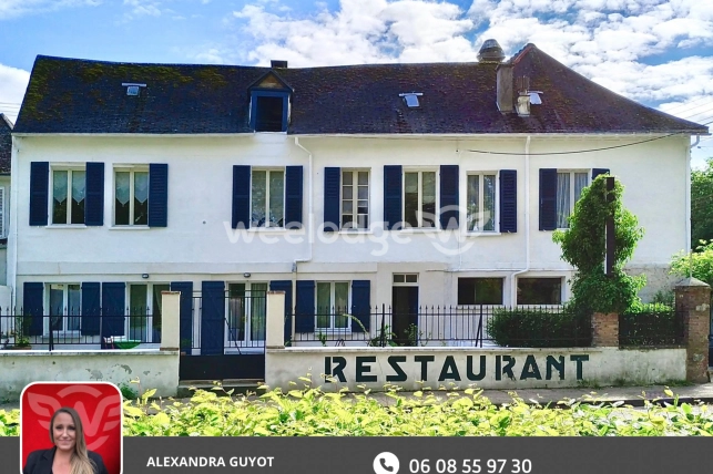 Maison à vendre 11 pièces de 243 m² à Bray-sur-Seine