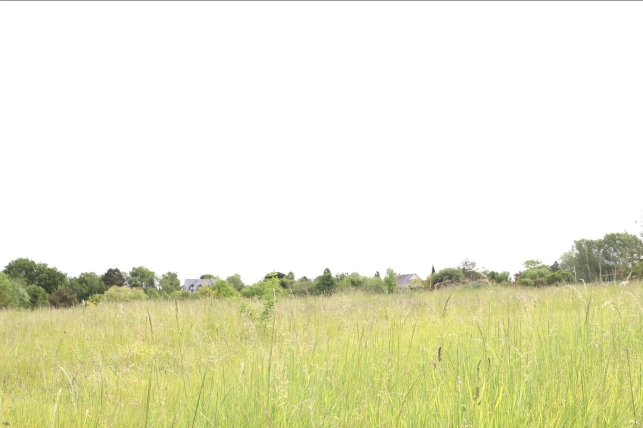 Terrain à vendre de 1182 m² à Vallières-les-Grandes
