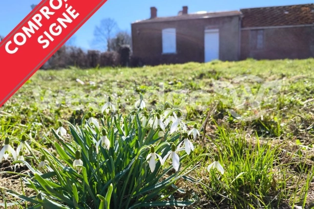 Maison à vendre 4 pièces de 90 m² à Obrechies
