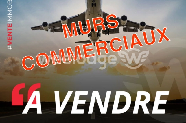 Autre vendu à Cornebarrieu