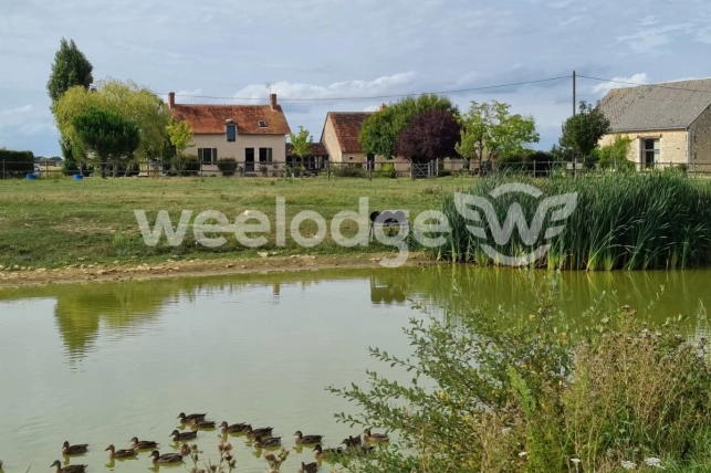 Maison à vendre 12 pièces de 266 m² à Thenay