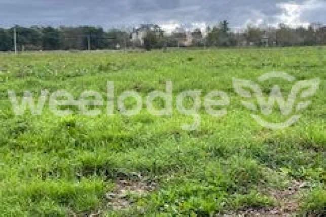 Terrain à vendre de 1553 m² à Bois-de-la-Pierre