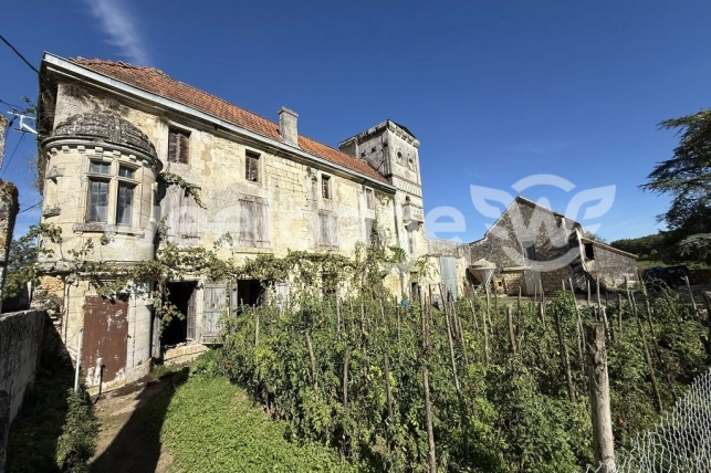 Maison à vendre 11 pièces de 536,4 m² à Puymoyen