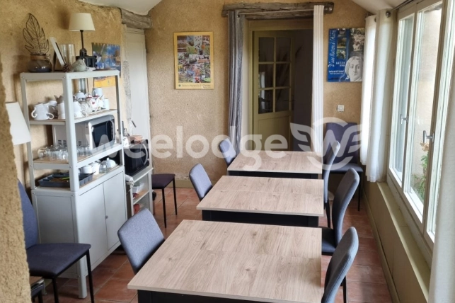 Maison à vendre 12 pièces de 365 m² à Thenay