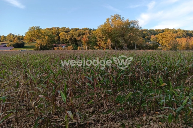 Terrain à vendre de 6760 m² à Les Tourreilles