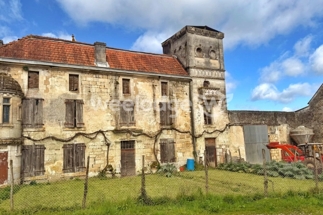 Maison à vendre 11 pièces de 536,4 m² à Puymoyen