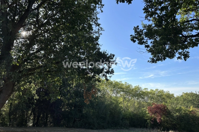 Terrain vendu de 2382 m² à Montaigut-sur-Save