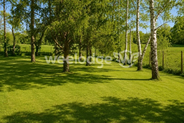 Maison à vendre 6 pièces de 160 m² à Condécourt