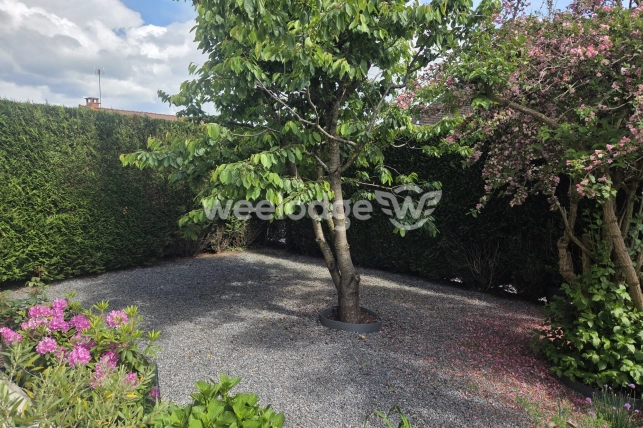 Maison à vendre 7 pièces de 165 m² à Hautmont