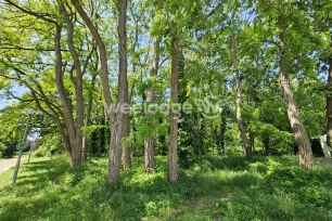Maison à vendre 5 pièces de 108 m² à Conflans-Sainte-Honorine