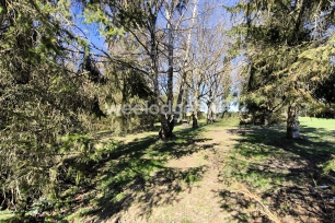 Maison vendu 7 pièces de 124 m² à Ferrière-la-Grande