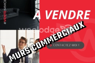 Autre vendu à Cornebarrieu