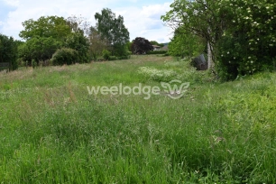 Terrain à vendre de 3083 m² à Clarac