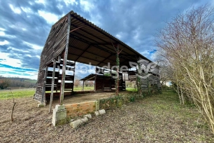Maison vendu 1 pièces de 130 m² à Frontignan-Savès