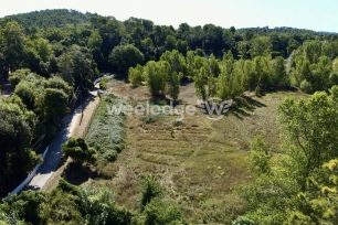 Terrain à vendre de 3593 m² à Montauroux