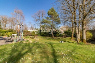 Terrain à vendre de 534 m² à Boisemont