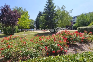 Appartement à vendre 4 pièces de 67 m² à Conflans-Sainte-Honorine