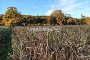 Terrain à vendre de 6760 m² à Les Tourreilles