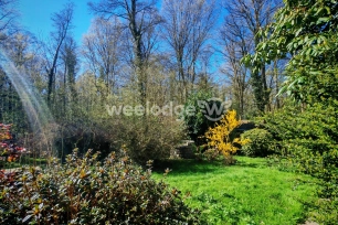 Maison à vendre 10 pièces de 261,85 m² à Auchel