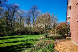 Maison à vendre 10 pièces de 261,85 m² à Auchel