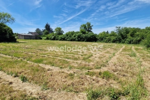 Terrain à vendre de 3924 m² à Saint-Gaultier