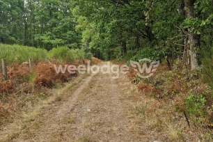 Terrain à vendre de 81000 m² à Velles