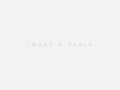 Maison vendu 4 pièces de 100 m² à Dammartin-en-Serve