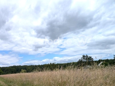 Terrain à vendre de 2570 m² à Chaumont-sur-Loire