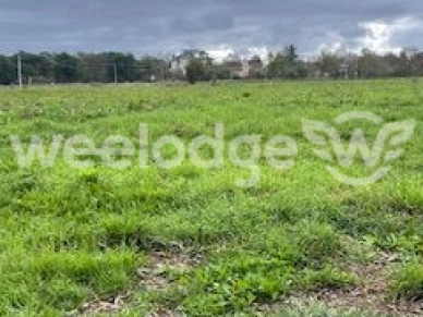 Terrain à vendre de 1553 m² à Bois-de-la-Pierre