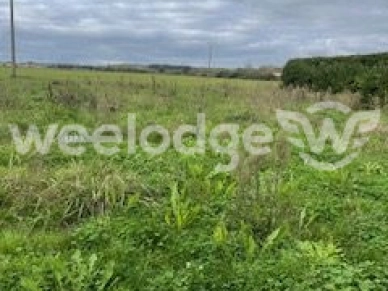 Terrain à vendre de 1553 m² à Bois-de-la-Pierre