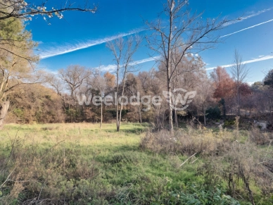 Terrain à vendre de 875 m² à Jouques