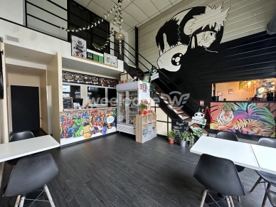 Local commercial à vendre de 273 m² à Cornebarrieu