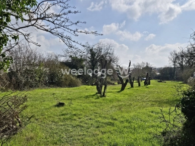 Terrain à vendre de 2128 m² à Neuville-sur-Oise