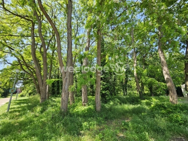 Maison à vendre 5 pièces de 108 m² à Conflans-Sainte-Honorine