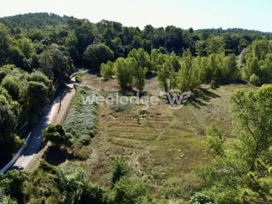 Terrain à vendre de 3593 m² à Montauroux