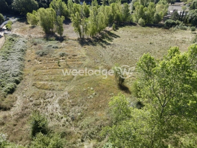 Terrain à vendre de 3593 m² à Montauroux