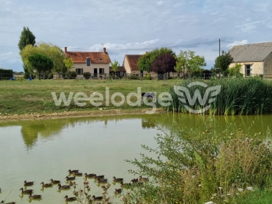 Maison à vendre 12 pièces de 266 m² à Thenay