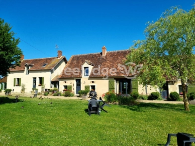 Maison à vendre 12 pièces de 365 m² à Thenay