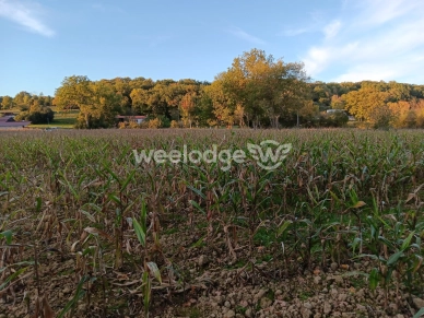 Terrain à vendre de 6760 m² à Les Tourreilles