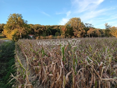 Terrain à vendre de 6760 m² à Les Tourreilles