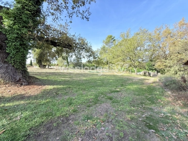 Maison à vendre 7 pièces de 228,74 m² à Saint-Paul-en-Forêt