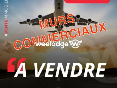 Local commercial à vendre de 209 m² à Cornebarrieu