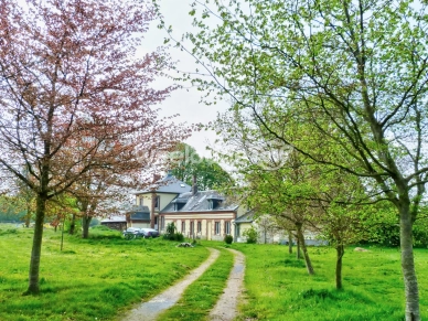 Maison à vendre 14 pièces de 400 m² à Lisieux