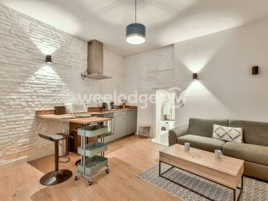 Appartement à louer 1 pièces de 23,81 m² à Toulouse