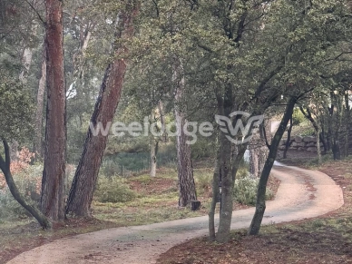 Maison à vendre 5 pièces de 215 m² à La Bastidonne