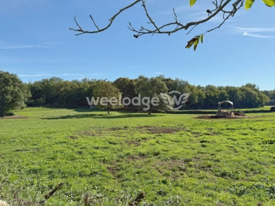 Maison à vendre 11 pièces de 536,4 m² à Puymoyen