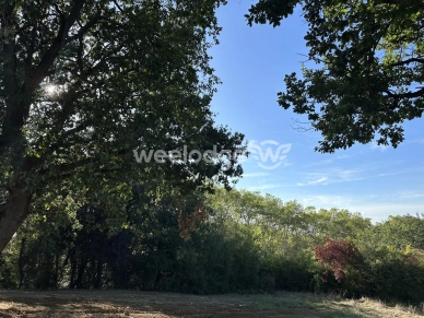 Terrain vendu de 2382 m² à Montaigut-sur-Save