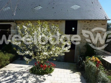 Maison à vendre 5 pièces de 147 m² à Argenton-sur-Creuse