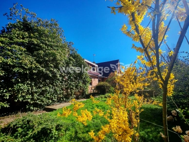 Maison à vendre 10 pièces de 261,85 m² à Auchel