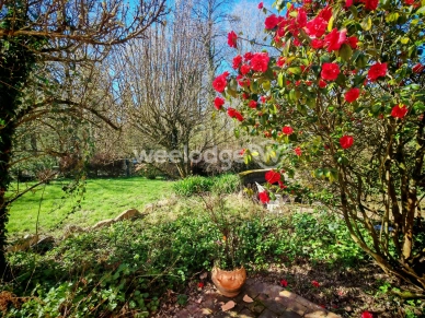 Maison à vendre 10 pièces de 261,85 m² à Auchel